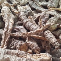 건조더덕 1Kg